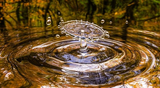 きれいな水がはねた瞬間