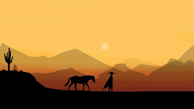 夕日を歩く馬
